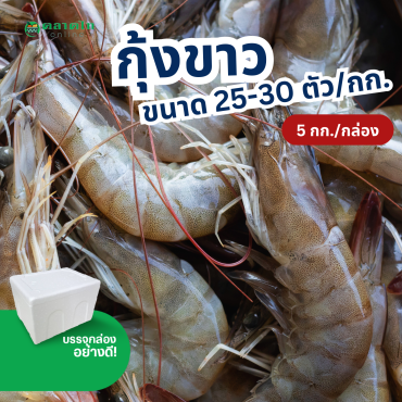 กุ้งขาว 25-30 ตัวโล (5กก./กล่อง) ส่งกรุงเทพและปริมณฑล