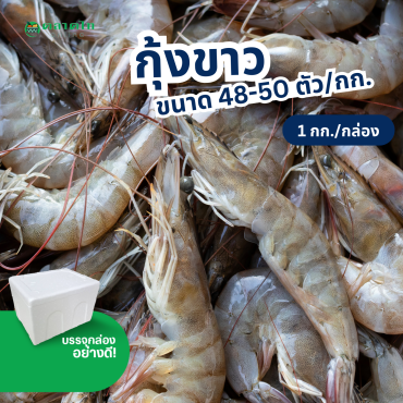 กุ้งขาว 48-50 ตัวโล (1กก./กล่อง) ส่งกรุงเทพและปริมณฑล