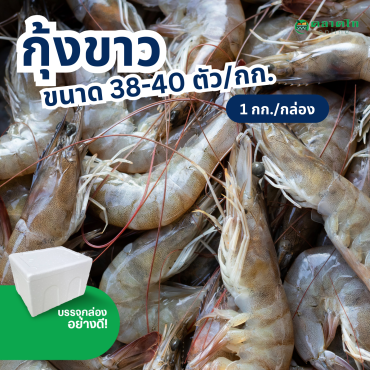 กุ้งขาว 38-40 ตัวโล (1กก./กล่อง) ส่งกรุงเทพและปริมณฑล